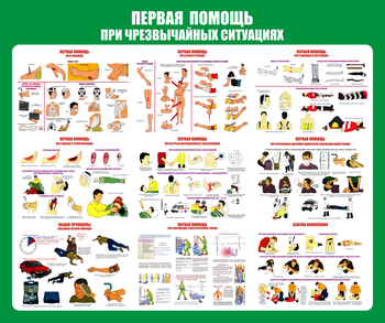 С20-1 Стенд Оказание первой помощи при ЧС (670х800 мм, пластик ПВХ 3 мм, алюминиевый багет золотого цвета) - Стенды - Стенды по первой медицинской помощи - ohrana.inoy.org